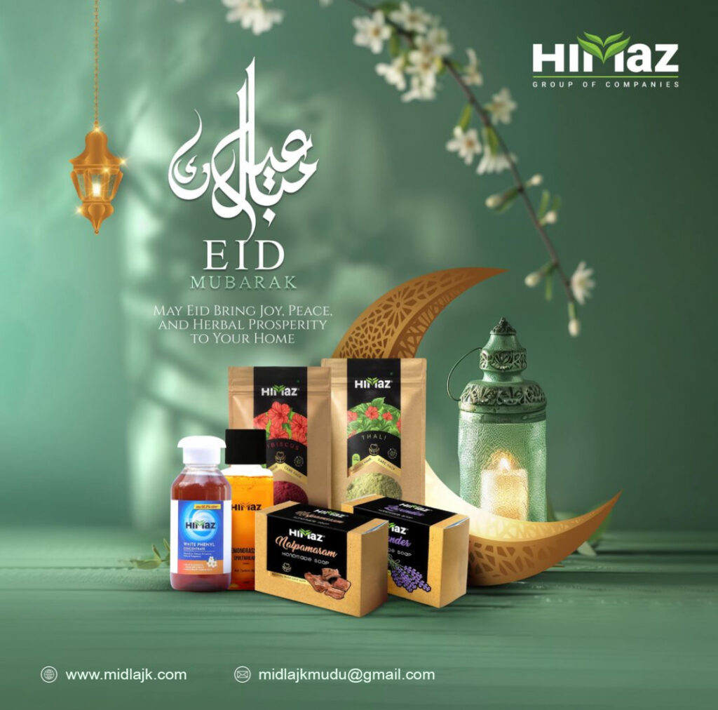 Digital Marketing Expert in Wayanad